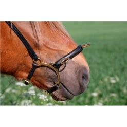 Karlslund Gebissloser Zaum Mit Bügel -Back on Track Verkäufe 10144 BL BRS 4