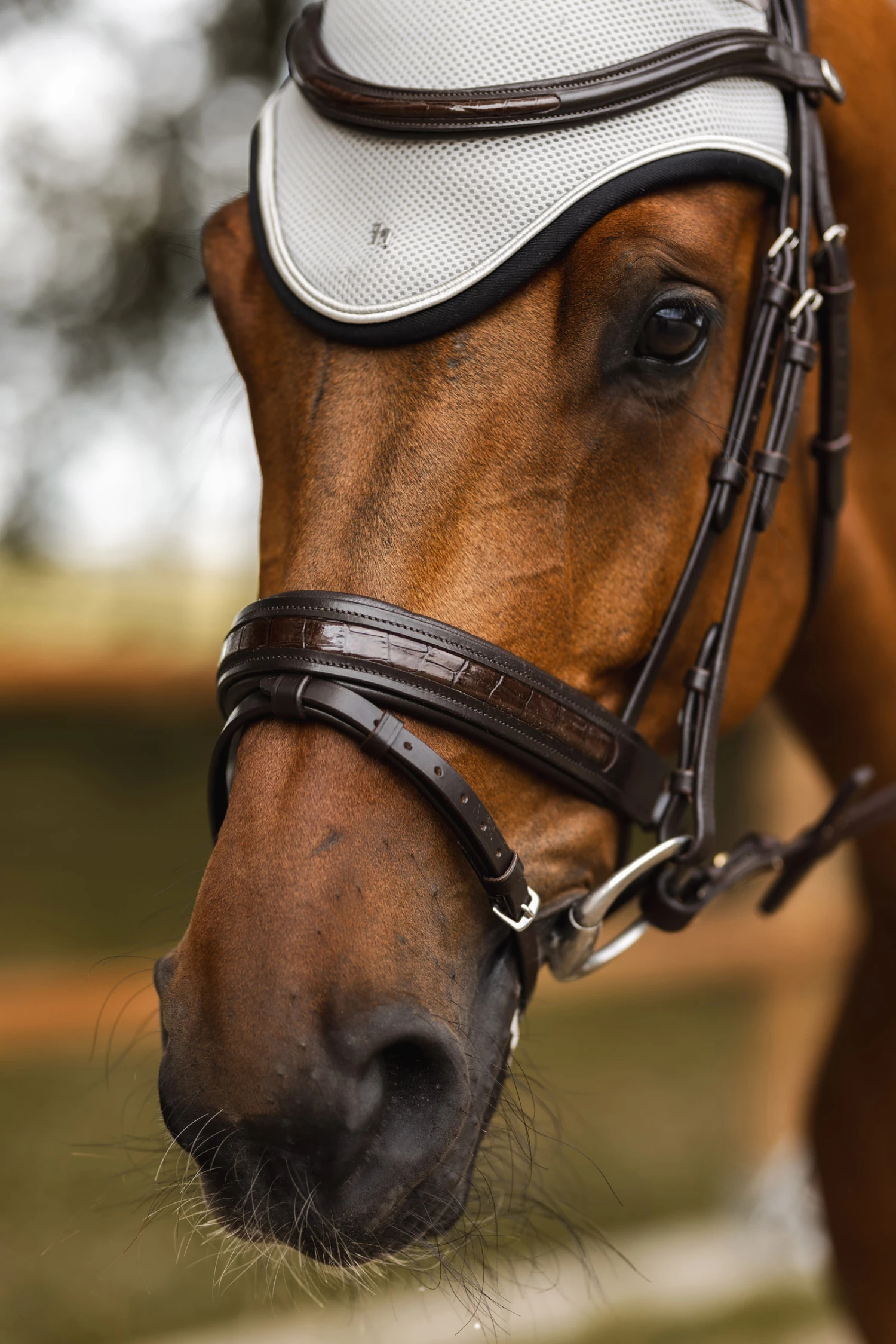 Horze Smoky Twilight Anatomische Trense 9 Horze Smoky Twilight Anatomische Trense – Bild 9