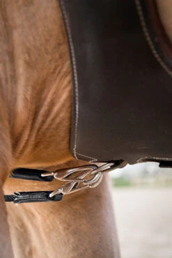 Horze Sparta Schlaufzügel Aus Nylon/Leder 11 Horze Sparta Schlaufzügel Aus Nylon/Leder -Back on Track Verkäufe 10614 bl 04