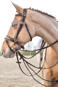 Horze Sparta Schlaufzügel Aus Nylon/Leder 13 Horze Sparta Schlaufzügel Aus Nylon/Leder -Back on Track Verkäufe 10614 dbr 02