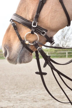 Horze Sparta Schlaufzügel Aus Nylon/Leder 14 Horze Sparta Schlaufzügel Aus Nylon/Leder -Back on Track Verkäufe 10614 dbr 03