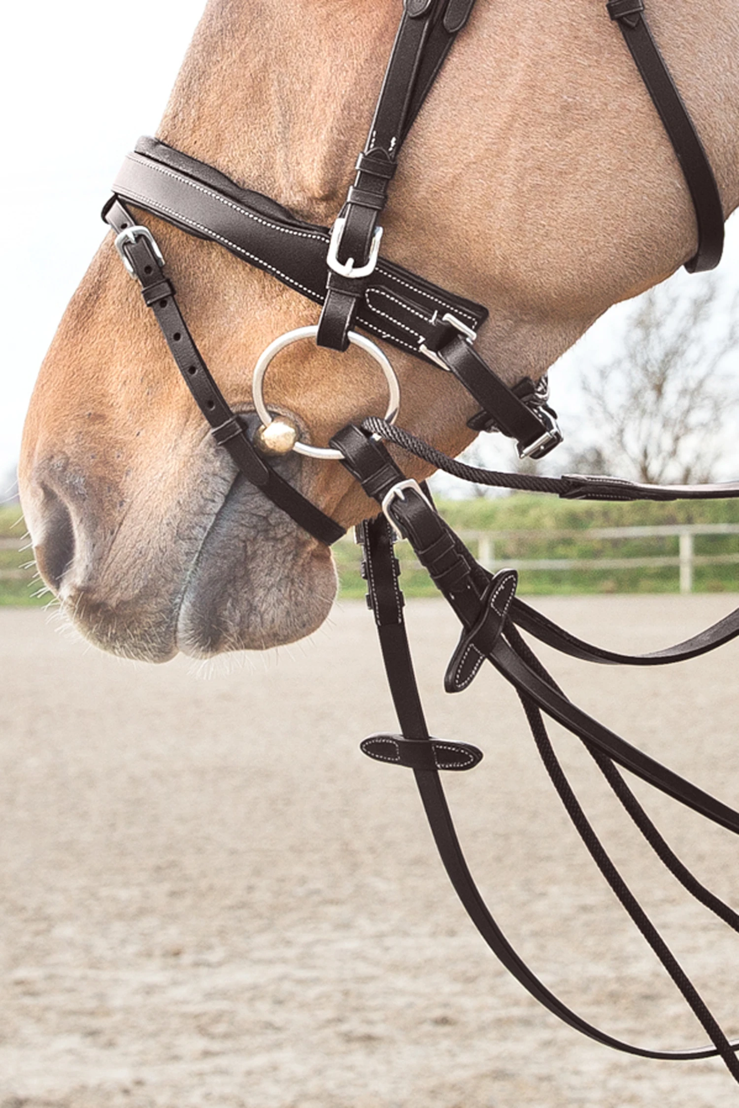 Horze Sparta Schlaufzügel Aus Nylon/Leder 7 Horze Sparta Schlaufzügel Aus Nylon/Leder – Bild 7