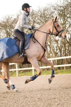 Horze Venice Kombiniertes Martingal 7 Horze Venice Kombiniertes Martingal -Back on Track Verkäufe 10858 bl 03