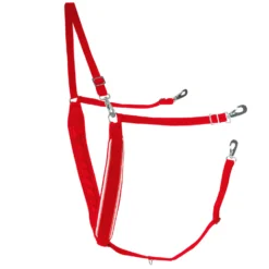 Finntack Breiter Y-förmiger Brustriemen Mit Biese -Back on Track Verkäufe 11424 RE RE WH 1