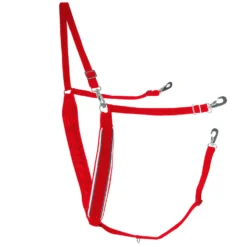 Finntack Breiter Y-förmiger Brustriemen Mit Biese -Back on Track Verkäufe 11424 RE WH DB 1