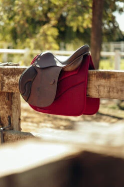 Horze Phoenix Vielseitigkeitsschabracke -Back on Track Verkäufe 17293 adpi 04