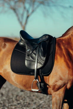 Horze Phoenix Dressurschabracke 27 Horze Phoenix Dressurschabracke -Back on Track Verkäufe 17295 BL 4