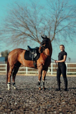 Horze Phoenix Dressurschabracke 28 Horze Phoenix Dressurschabracke -Back on Track Verkäufe 17295 BL 5