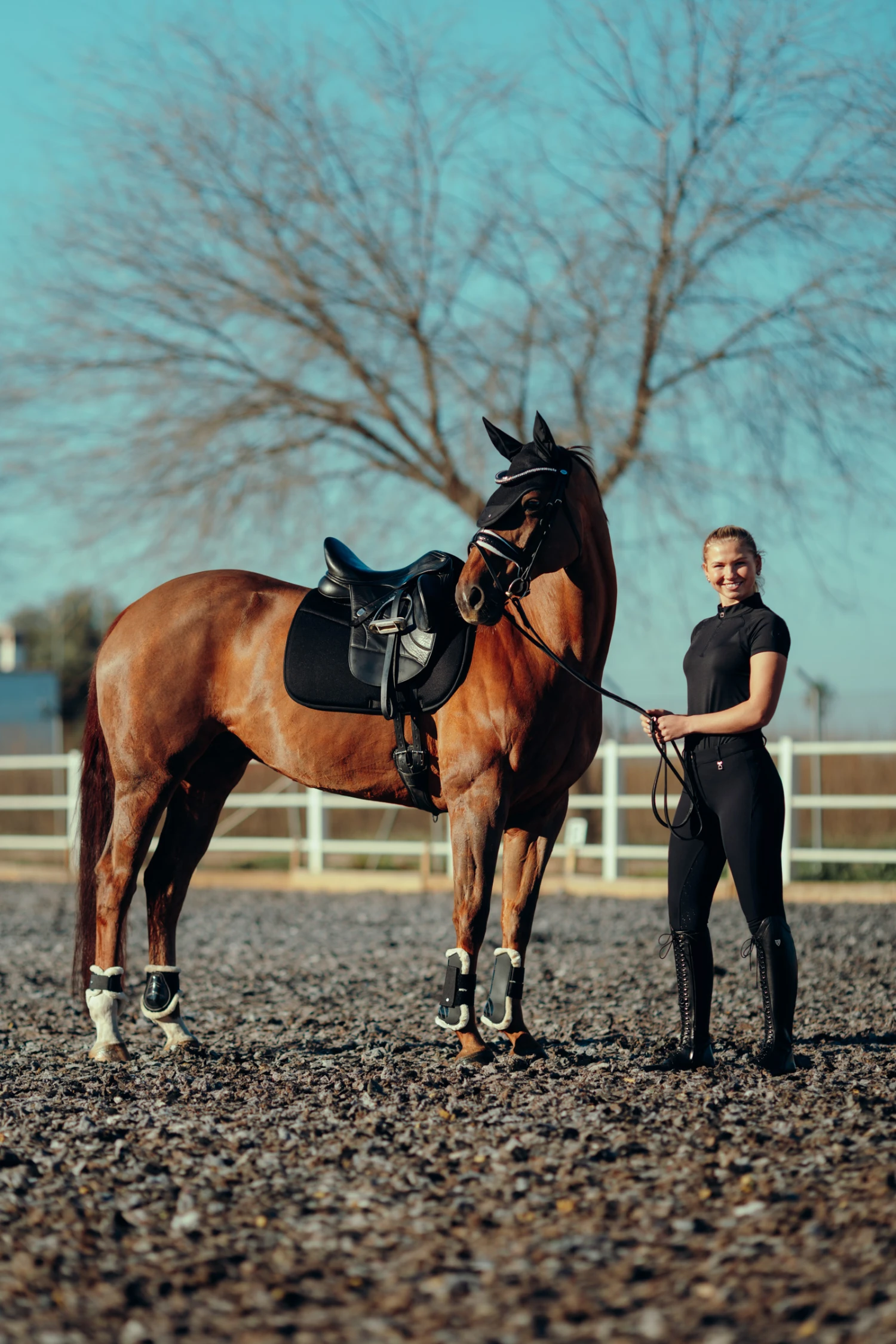 Horze Phoenix Dressurschabracke 10 Horze Phoenix Dressurschabracke – Bild 10