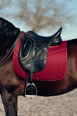 Horze Phoenix Dressurschabracke 22 Horze Phoenix Dressurschabracke -Back on Track Verkäufe 17295 adpi 04