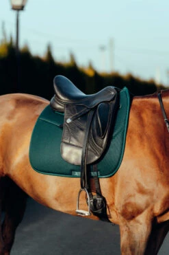 Horze Phoenix Dressurschabracke 32 Horze Phoenix Dressurschabracke -Back on Track Verkäufe 17295 stgr 04