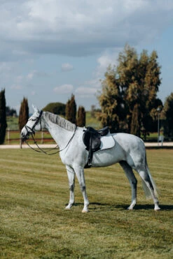 Horze Kühlende Vielseitigkeitsschabracke -Back on Track Verkäufe 17307 PBG 3
