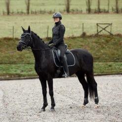 Horze Adepto Vielseitigkeitsschabracke 29 Horze Adepto Vielseitigkeitsschabracke -Back on Track Verkäufe 17343 BL 5