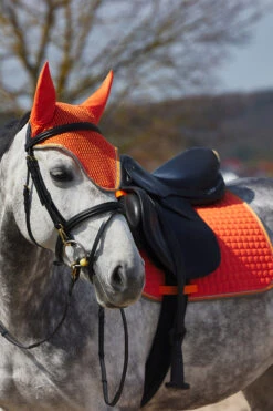 Horze Adepto Vielseitigkeitsschabracke 23 Horze Adepto Vielseitigkeitsschabracke -Back on Track Verkäufe 17343 cgo 04