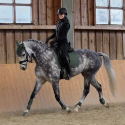 Horze Adepto Dressurschabracke 34 Horze Adepto Dressurschabracke -Back on Track Verkäufe 17353 BKGR 7