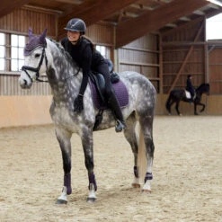 Horze Adepto Dressurschabracke 25 Horze Adepto Dressurschabracke -Back on Track Verkäufe 17353 BLPU 6