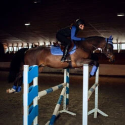 Horze Glarus Dressurschabracke Mit Metallischem Flechtdetail -Back on Track Verkäufe 17397 MLNB 3