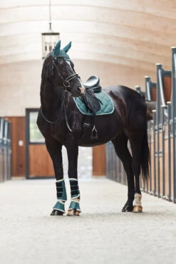 Horze Ghent Dressurschabracke Mit Kunstfell 15 Horze Ghent Dressurschabracke Mit Kunstfell -Back on Track Verkäufe 17416 ALB 4