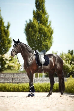 Horze Ghent Dressurschabracke Mit Kunstfell 23 Horze Ghent Dressurschabracke Mit Kunstfell -Back on Track Verkäufe 17416 VDB 4