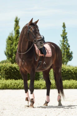 Horze Coventry Dressurschabracke -Back on Track Verkäufe 17417 CPI 3