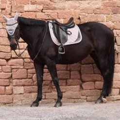 Horze Pomona Dressurschabracke Mit Samtdetails -Back on Track Verkäufe 17418 PI 3