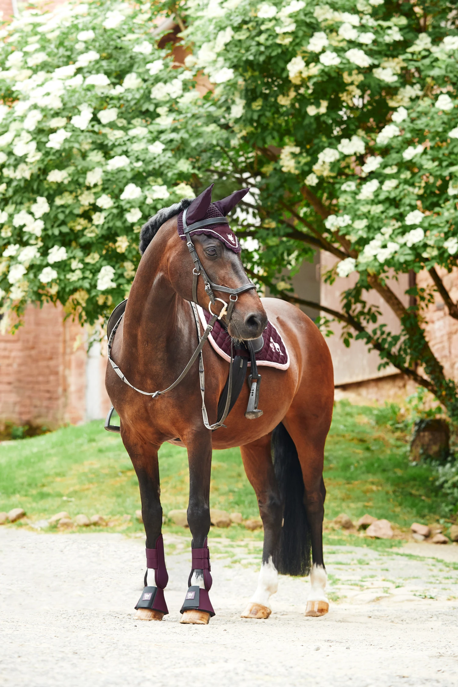 Horze Monster Pony Schabracke Mit Bestickung 5 Horze Monster Pony Schabracke Mit Bestickung – Bild 5