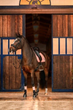 Horze Trixi Pony Vielseitigkeitsschabracke -Back on Track Verkäufe 17441 333 05