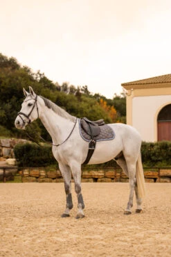 Horze Navajo Vielseitigkeitsschabracke 22 Horze Navajo Vielseitigkeitsschabracke -Back on Track Verkäufe 17442 060 06