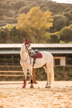 Horze Kenya Vielseitigkeitsschabracke -Back on Track Verkäufe 17444 251 06