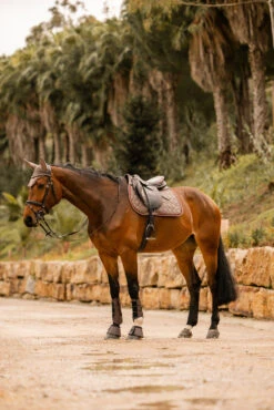 Horze Kenya Vielseitigkeitsschabracke -Back on Track Verkäufe 17444 753 07