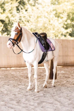 Horze Magic Carousel Vielseitigkeitsschabracke Für Ponys -Back on Track Verkäufe 17461 433 06