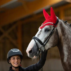 B Vertigo Raxus Fliegenhaube -Back on Track Verkäufe 22862 LPPI 2
