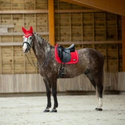 B Vertigo Raxus Fliegenhaube -Back on Track Verkäufe 22862 LPPI 4
