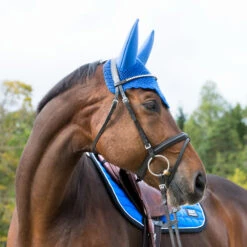 B Vertigo Raxus Fliegenhaube -Back on Track Verkäufe 22862 OLB 2