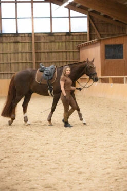 Horze Glarus Fliegenhaube Mit Metallischem Flechtdetail 16 Horze Glarus Fliegenhaube Mit Metallischem Flechtdetail -Back on Track Verkäufe 22917 bdbr 04