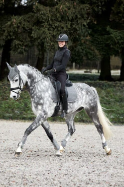 Horze Adepto Fliegenhaube -Back on Track Verkäufe 22923 sg 05