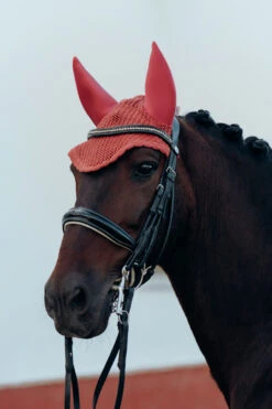 B Vertigo Laurel Fliegenhaube -Back on Track Verkäufe 22930 MNRE 3