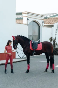 B Vertigo Laurel Fliegenhaube -Back on Track Verkäufe 22930 MNRE 5