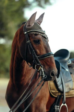 B Vertigo Drew Fliegenhaube -Back on Track Verkäufe 22931 UBBR 3