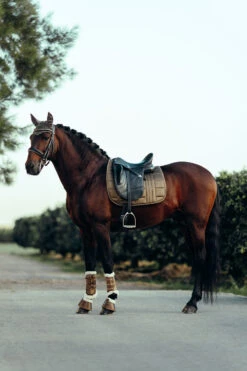 B Vertigo Drew Fliegenhaube -Back on Track Verkäufe 22931 UBBR 4