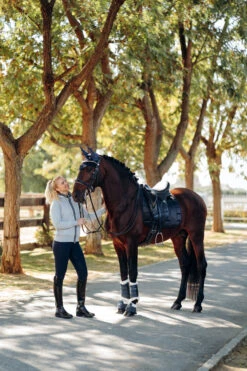 B Vertigo Drew Fliegenhaube -Back on Track Verkäufe 22931 VDB 4