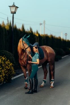 Horze Phoenix Fliegenhaube -Back on Track Verkäufe 22933 STGR 3