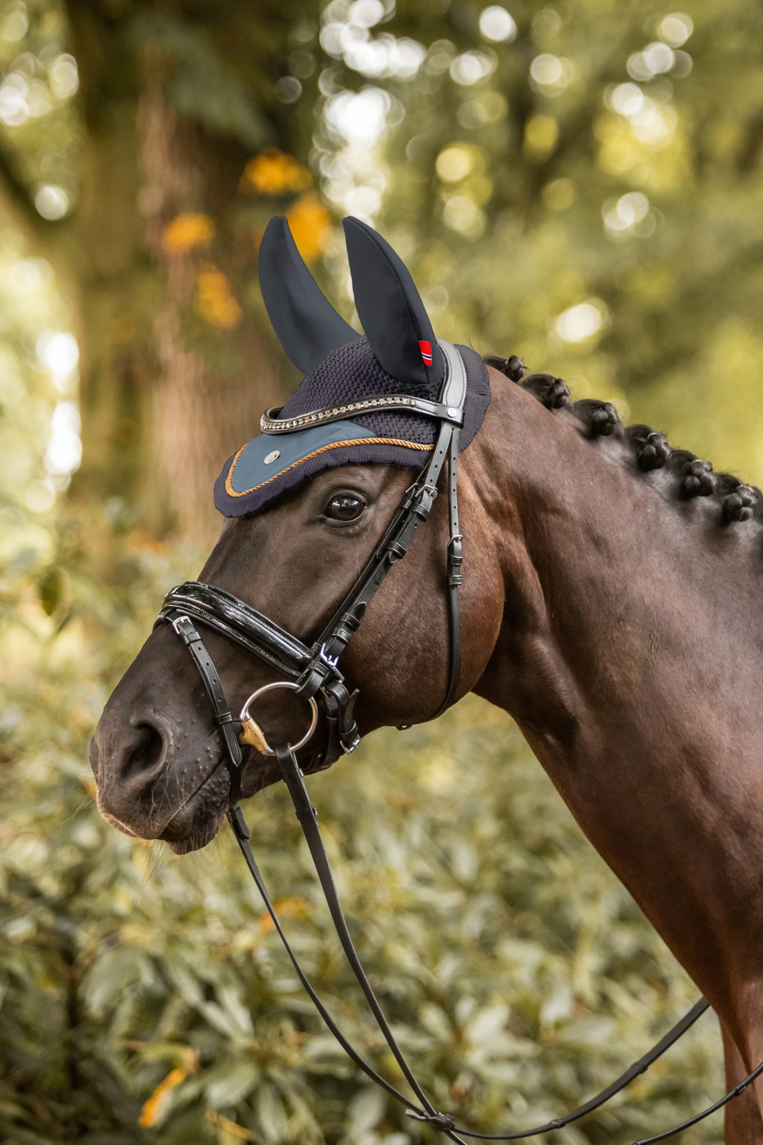 B Vertigo Quinn Fliegenhaube 6 B Vertigo Quinn Fliegenhaube – Bild 6