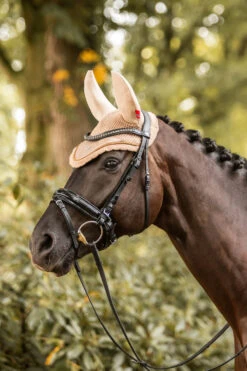 B Vertigo Quinn Fliegenhaube 12 B Vertigo Quinn Fliegenhaube -Back on Track Verkäufe 22937 sbe 03