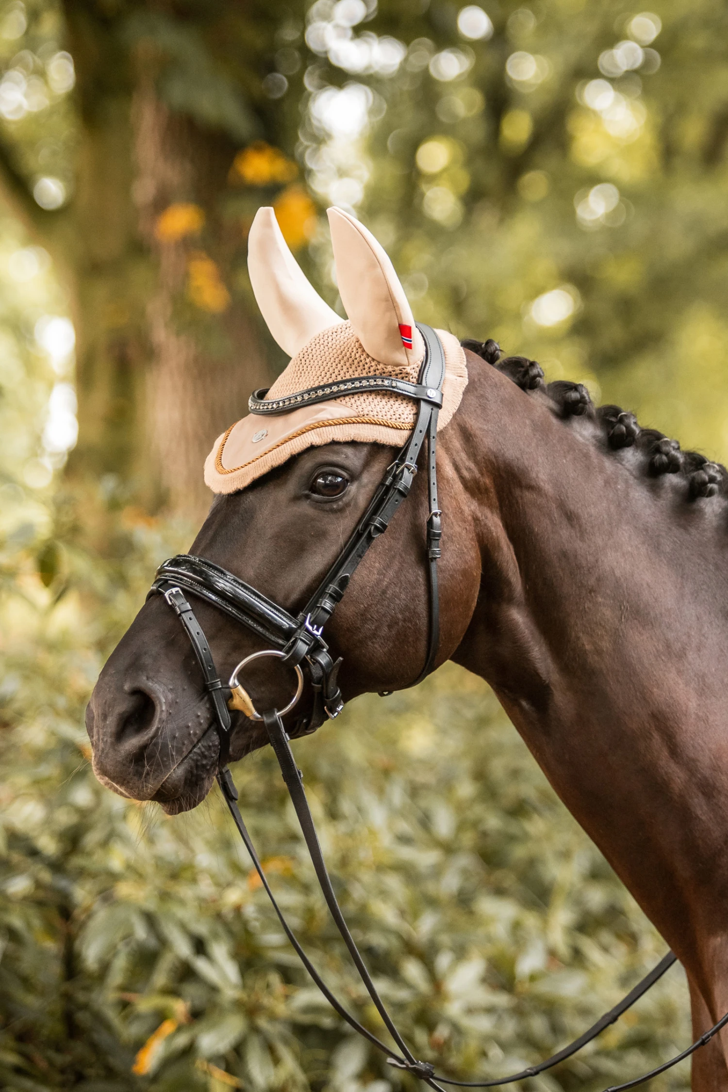 B Vertigo Quinn Fliegenhaube 3 B Vertigo Quinn Fliegenhaube – Bild 3