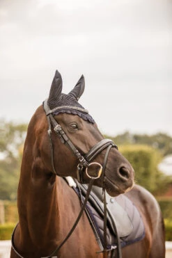 Horze Victoria Fliegenhaube -Back on Track Verkäufe 22940 ikb 02