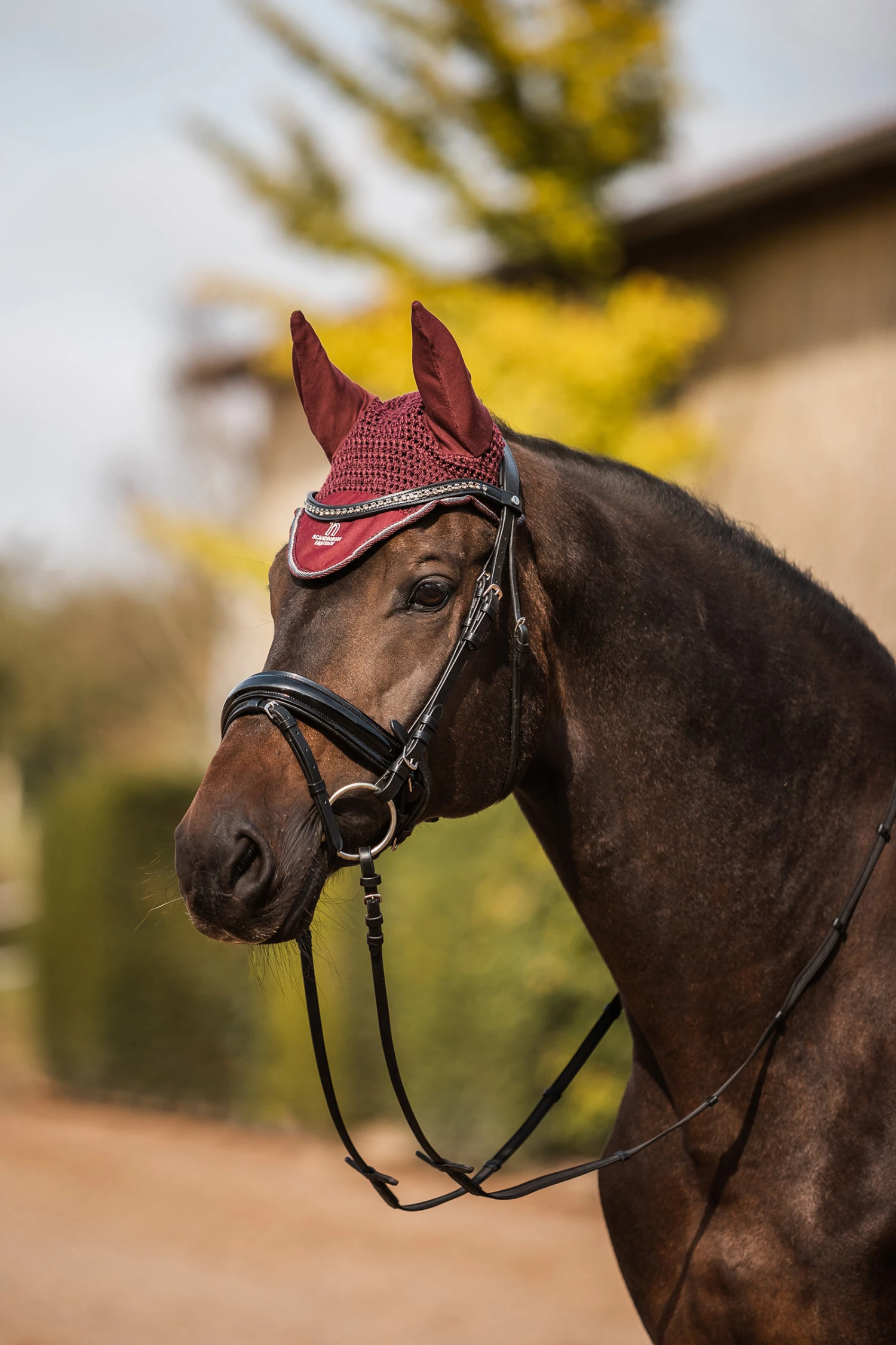 Horze Leighton Teens Collection Fliegenhaube 3 Horze Leighton Teens Collection Fliegenhaube – Bild 3