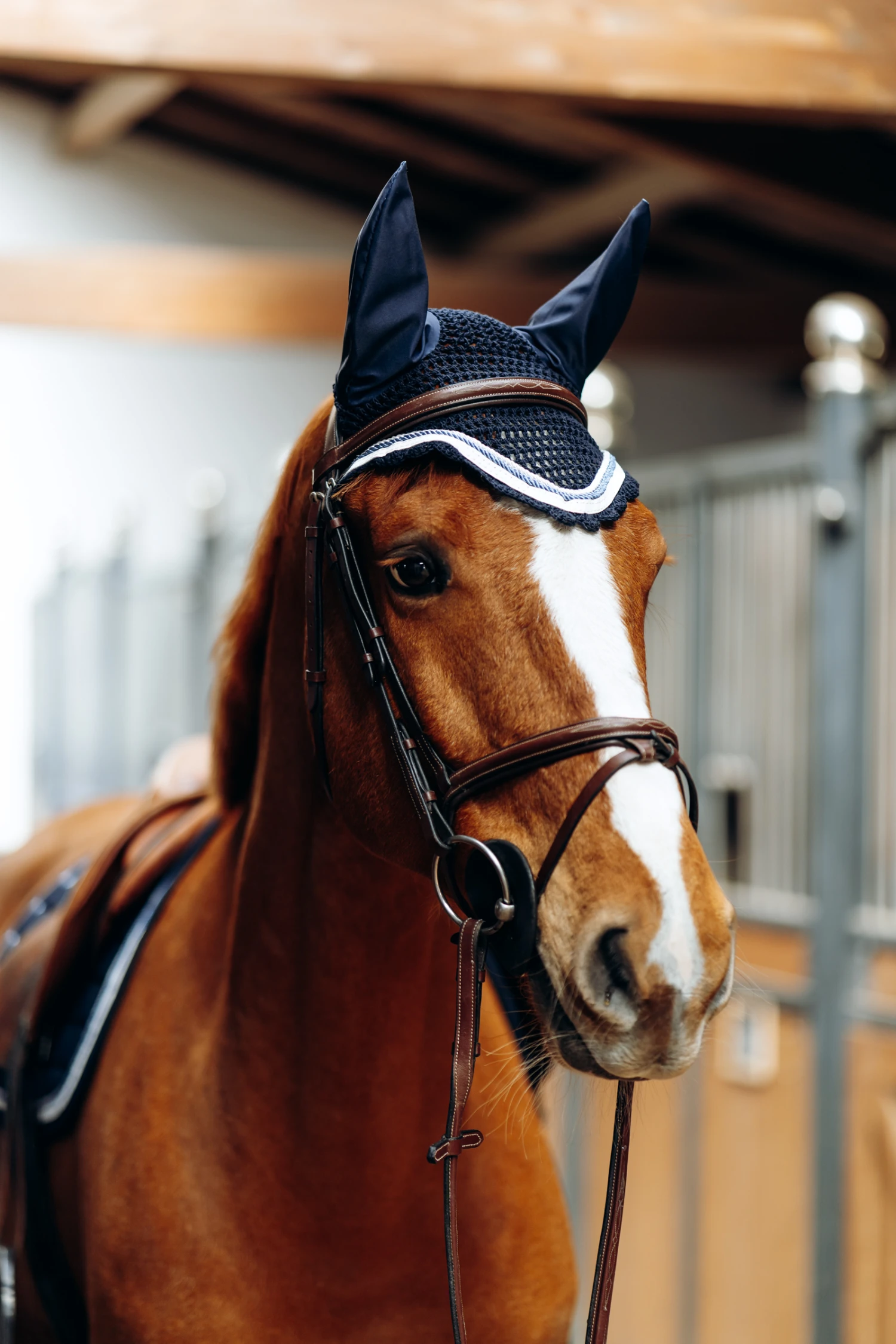 B Vertigo Cameron Fliegenhaube 9 B Vertigo Cameron Fliegenhaube – Bild 9