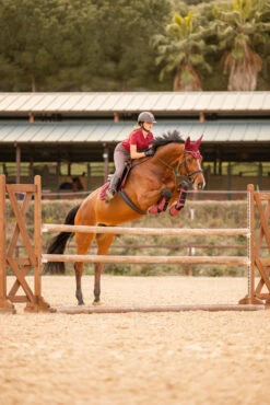 Horze Kenya Fliegenhaube -Back on Track Verkäufe 22947 251 07