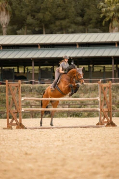 Horze Kenya Fliegenhaube -Back on Track Verkäufe 22947 753 06